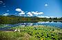 the billabong for ATV riding near Cairns