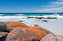 Bold red lichen decorates the coastline of Tasmania's East Coast