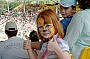 tiger face