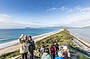 The Neck Wildlife Zone and Penguin Rookery and Beaches Bruny Island Safaris