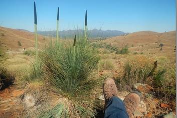 4 day Lake Eyre & Flinders Ranges Tour - Superior Motel Unit with Ensuite (Double/Twin Share)