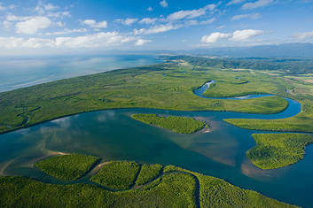 Daintree River